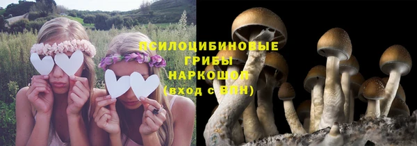 стаф Белоозёрский
