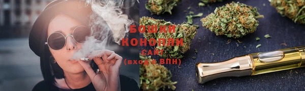 стаф Белокуриха
