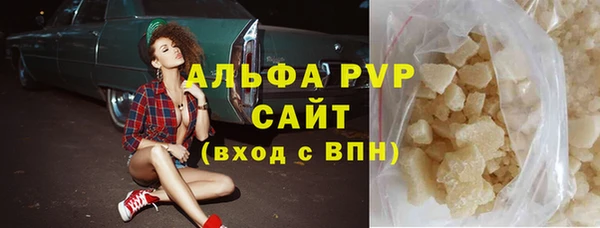 стаф Белокуриха