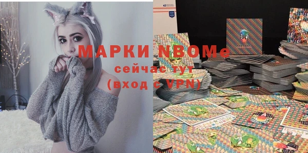 стаф Белокуриха