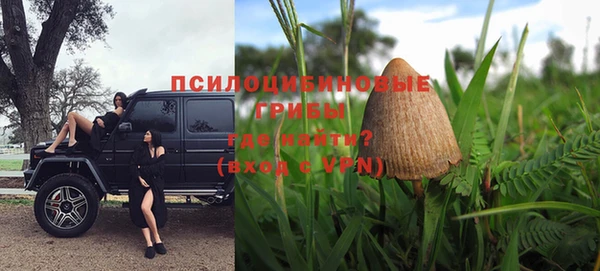 стаф Белокуриха
