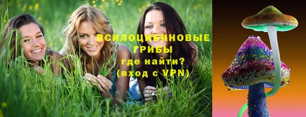 стаф Белокуриха