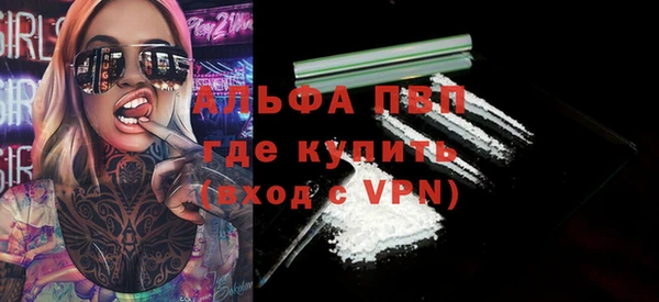 стаф Белокуриха