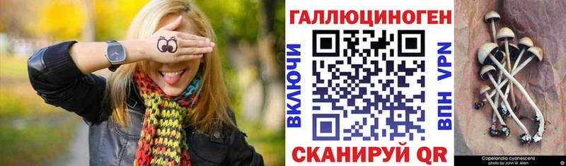 Псилоцибиновые грибы Cubensis  Новая Усмань 